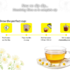 How to make Chamomile Green Tea